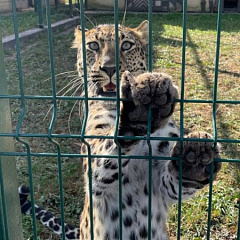 Наш личный вклад по сохранению природы – ВОДПРОМТЕХ